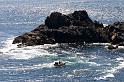 Bretagne (181)
